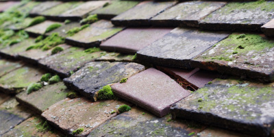 Little Crawley roof repair costs